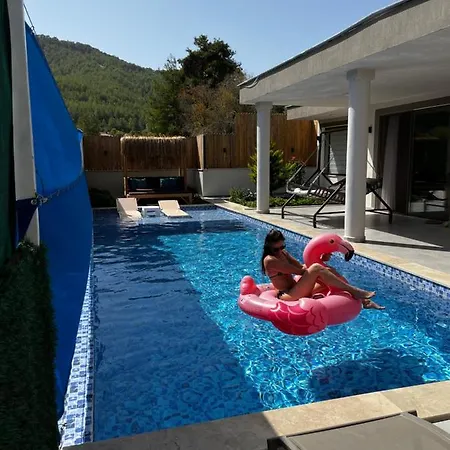 Flamingo Kaş