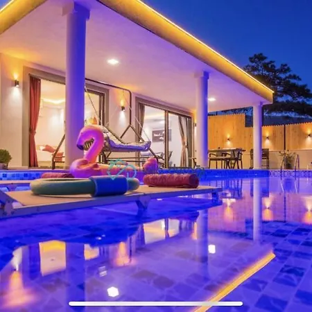 Flamingo * Kaş