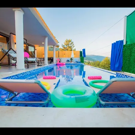 Flamingo * Kaş